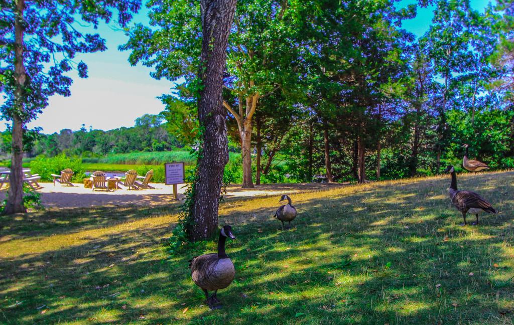 The Cove At Yarmouth Hotell West Yarmouth Exteriör bild